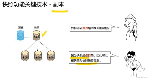 存儲數(shù)據(jù)保護技術(shù)與應用 構(gòu)建可信的數(shù)據(jù)處理與存儲服務基石